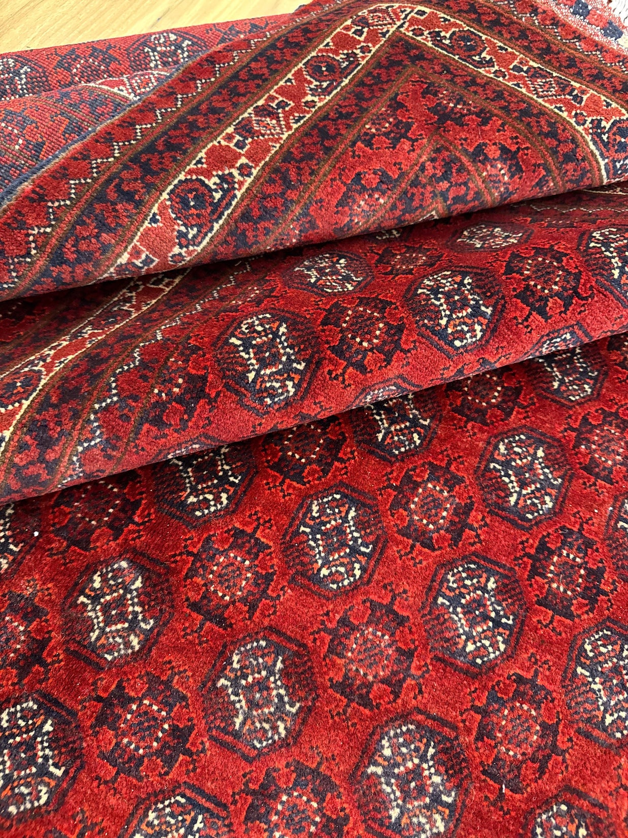 Roshnai Rug - 285 cm x 195 cm