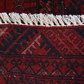 Roshnai Rug - 282 cm x 81 cm