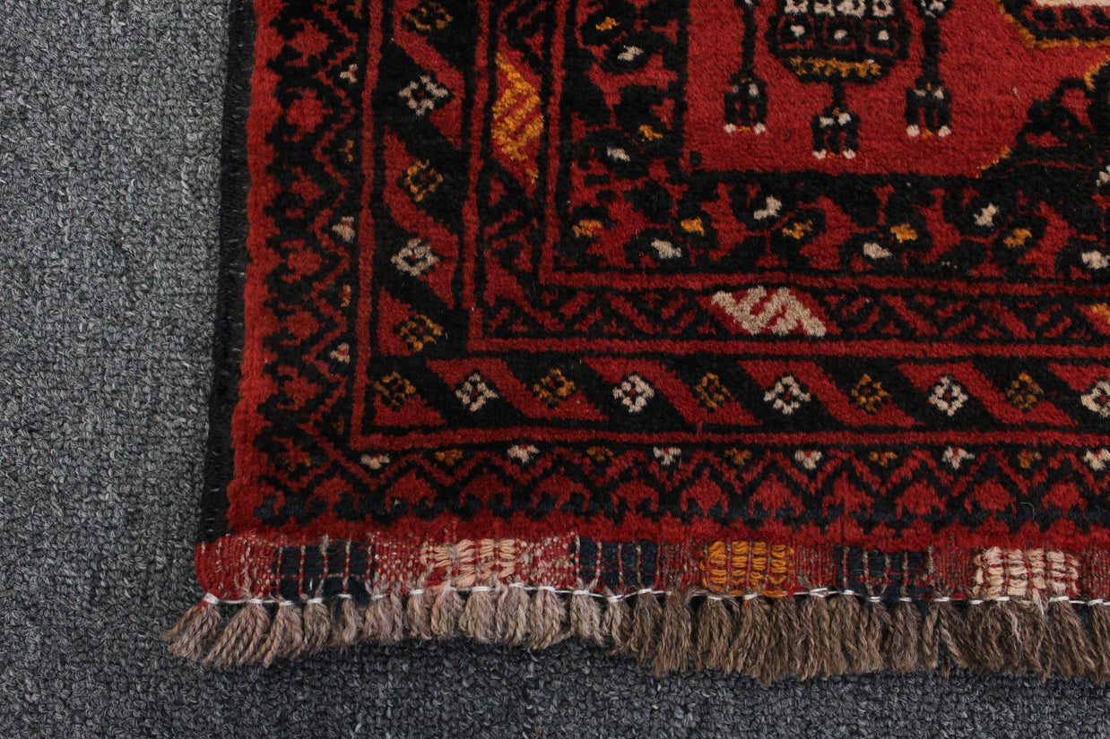 Kunduz Rug - 254 cm x 81 cm