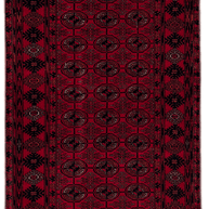 Roshnai Rug - 175 cm x 76 cm