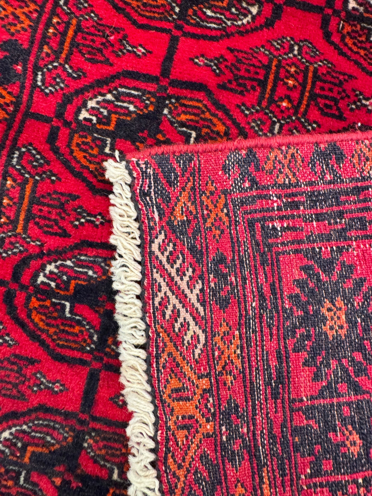 Roshnai Rug - 175 cm x 76 cm