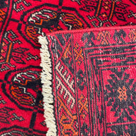 Roshnai Rug - 175 cm x 76 cm