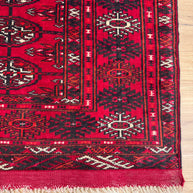 Roshnai Rug - 189 cm x 82 cm