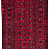 Roshnai Rug - 174 cm x 83 cm