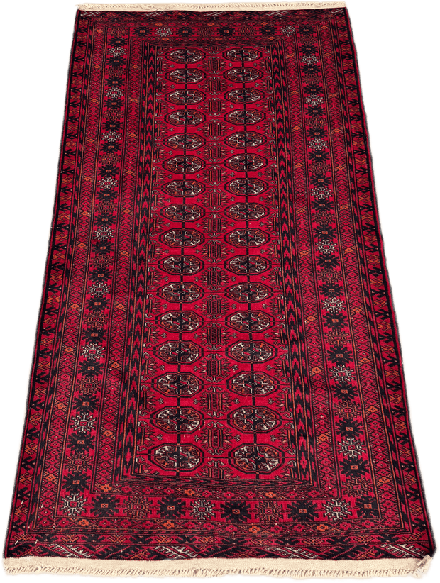 Roshnai Rug - 174 cm x 83 cm