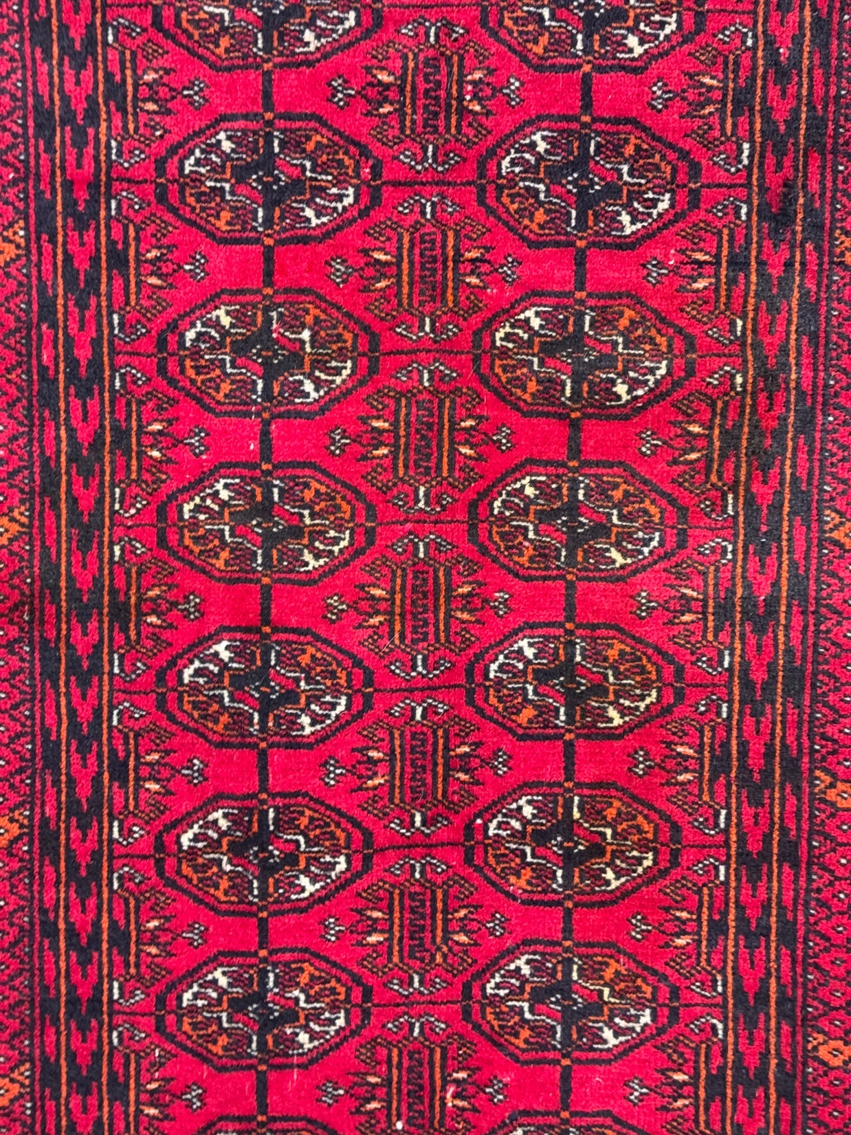 Roshnai Rug - 174 cm x 83 cm