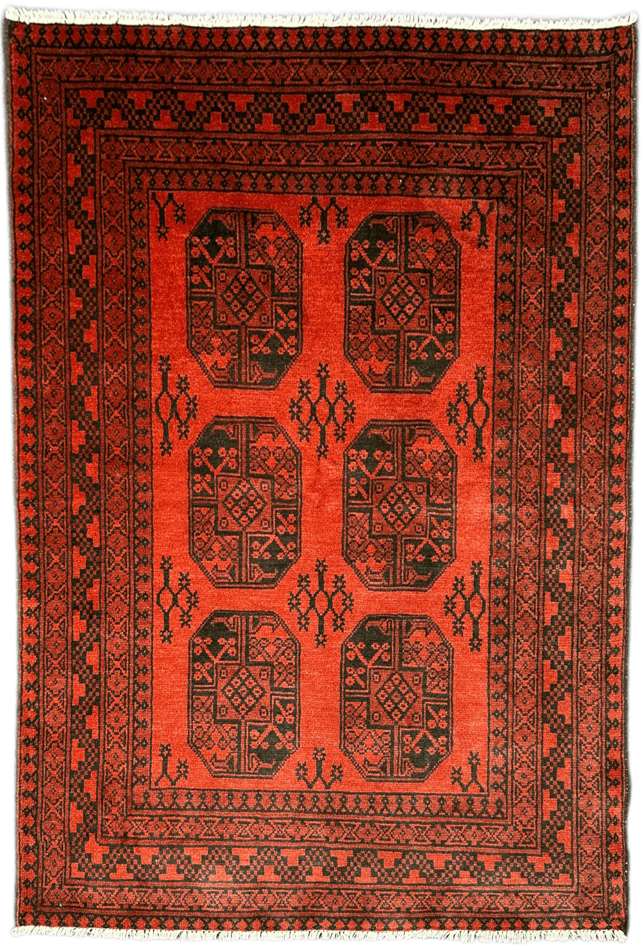 Turkoman Rug - 194 cm x 152 cm