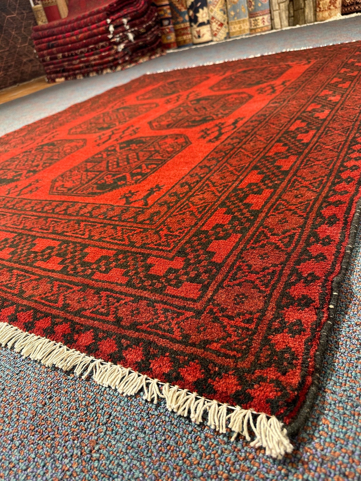Turkoman Rug - 194 cm x 152 cm