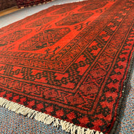 Turkoman Rug - 194 cm x 152 cm
