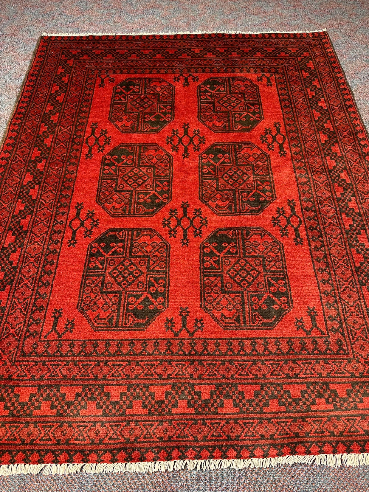 Turkoman Rug - 194 cm x 152 cm