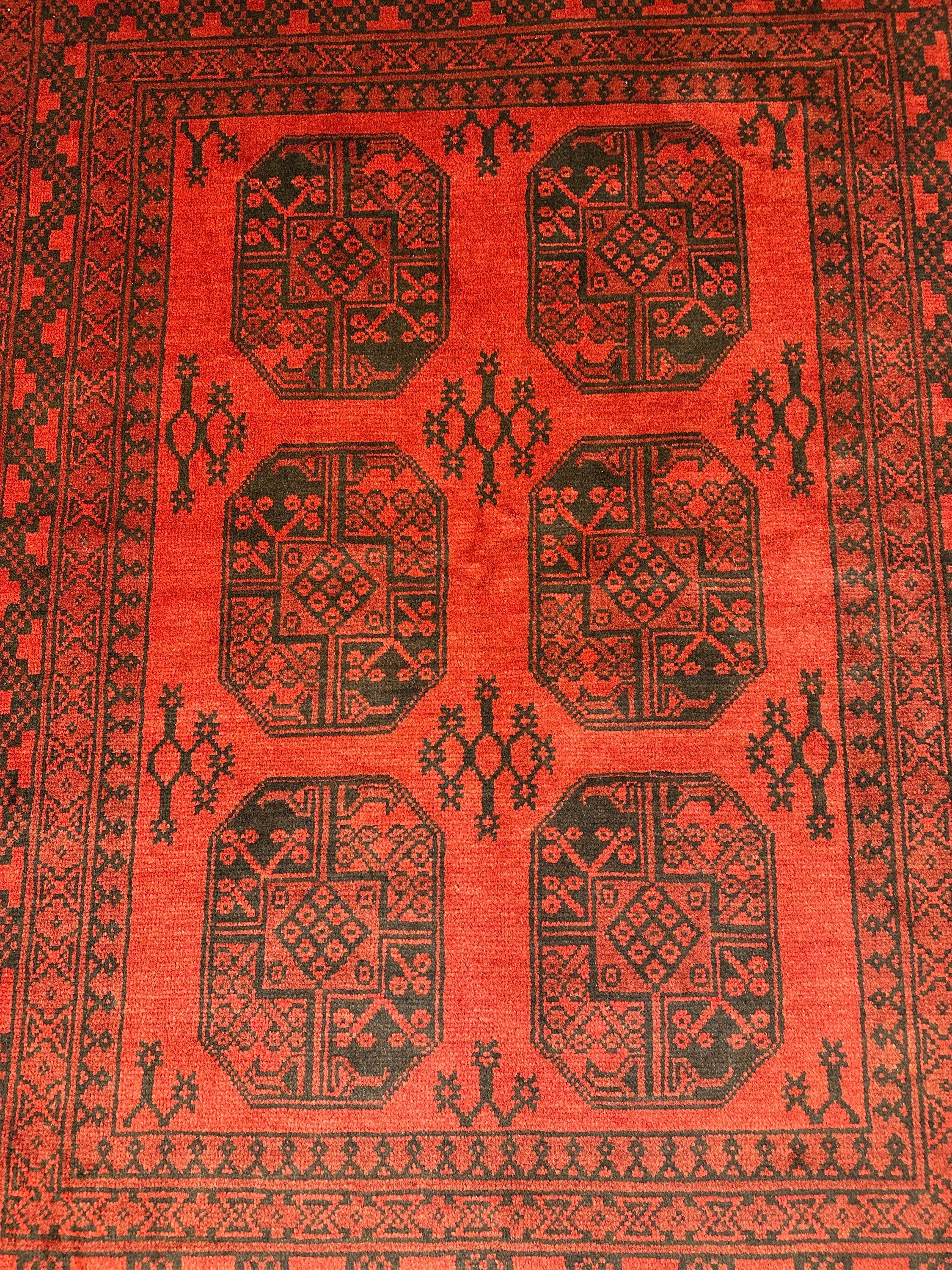 Turkoman Rug - 194 cm x 152 cm