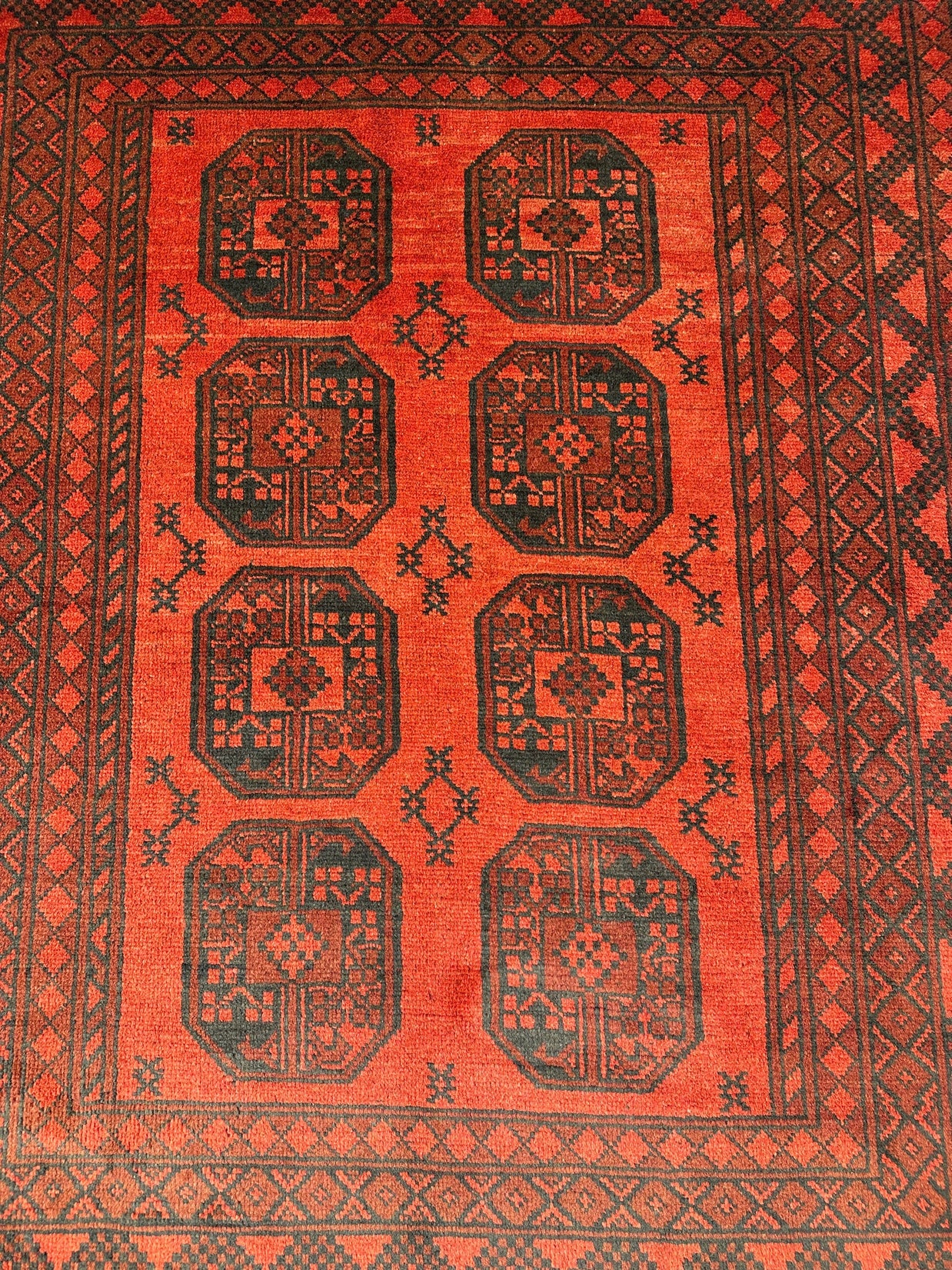 Turkoman Rug - 187 cm x 150 cm