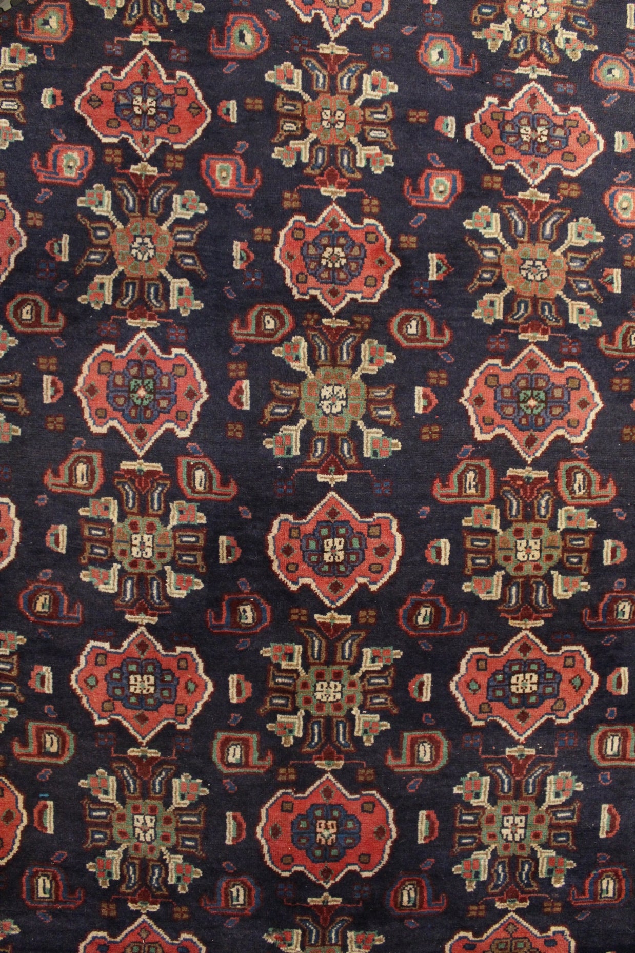 Gharajeh Rug - 287 cm x 160 cm