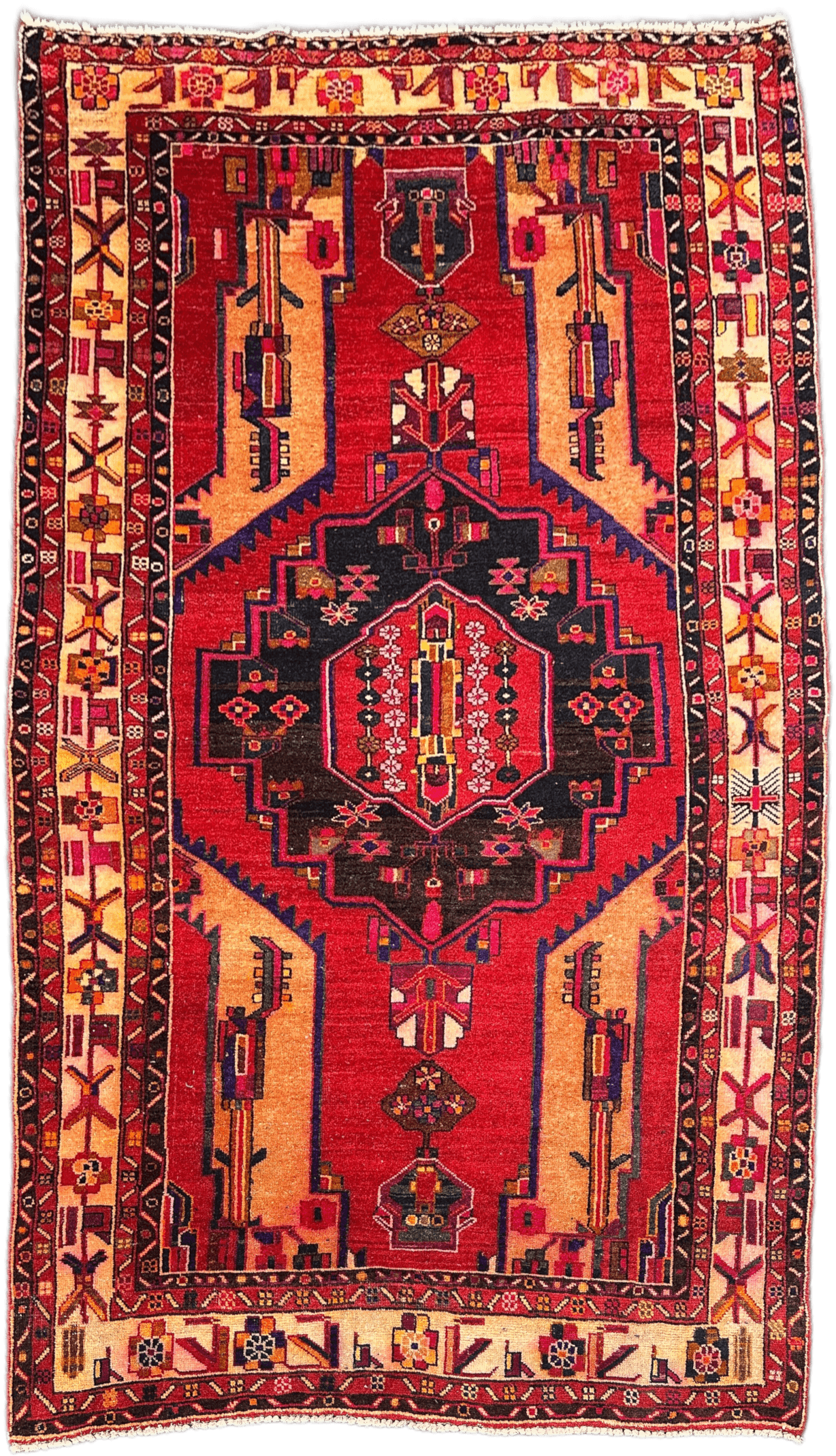 Hamadan Rug  - 308 cm x 177 cm