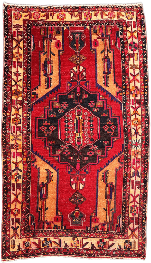 Hamadan Rug  - 308 cm x 177 cm