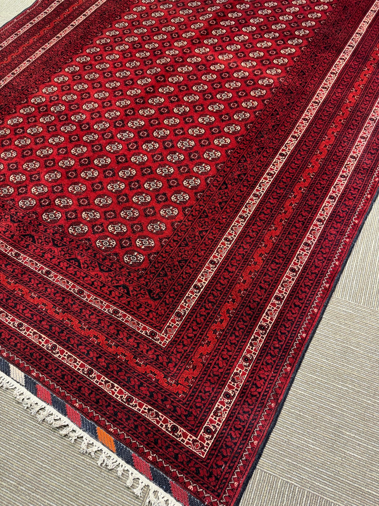 Roshnai Rug - 285 cm x 195 cm