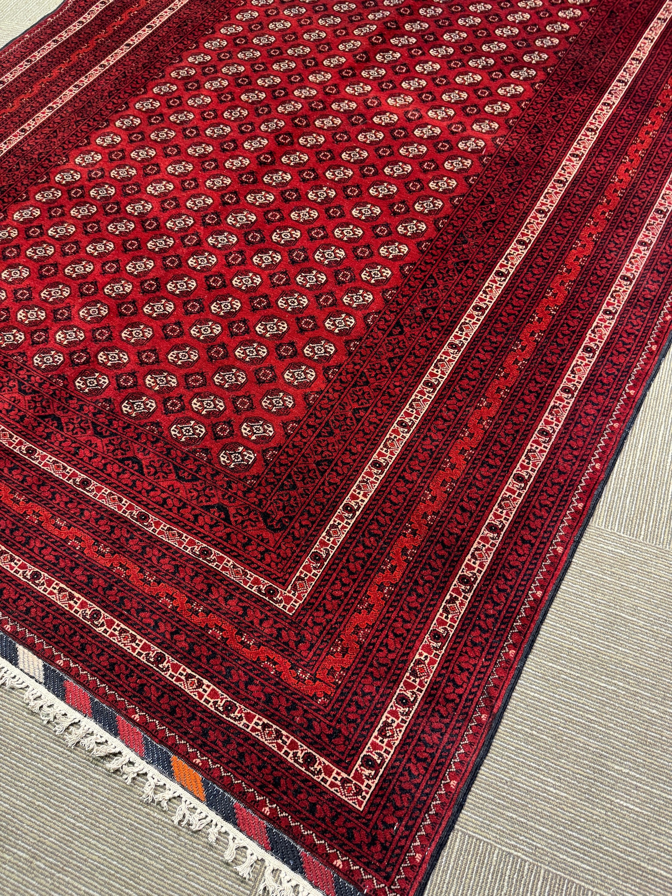 Roshnai Rug - 285 cm x 195 cm
