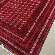 Roshnai Rug - 285 cm x 195 cm