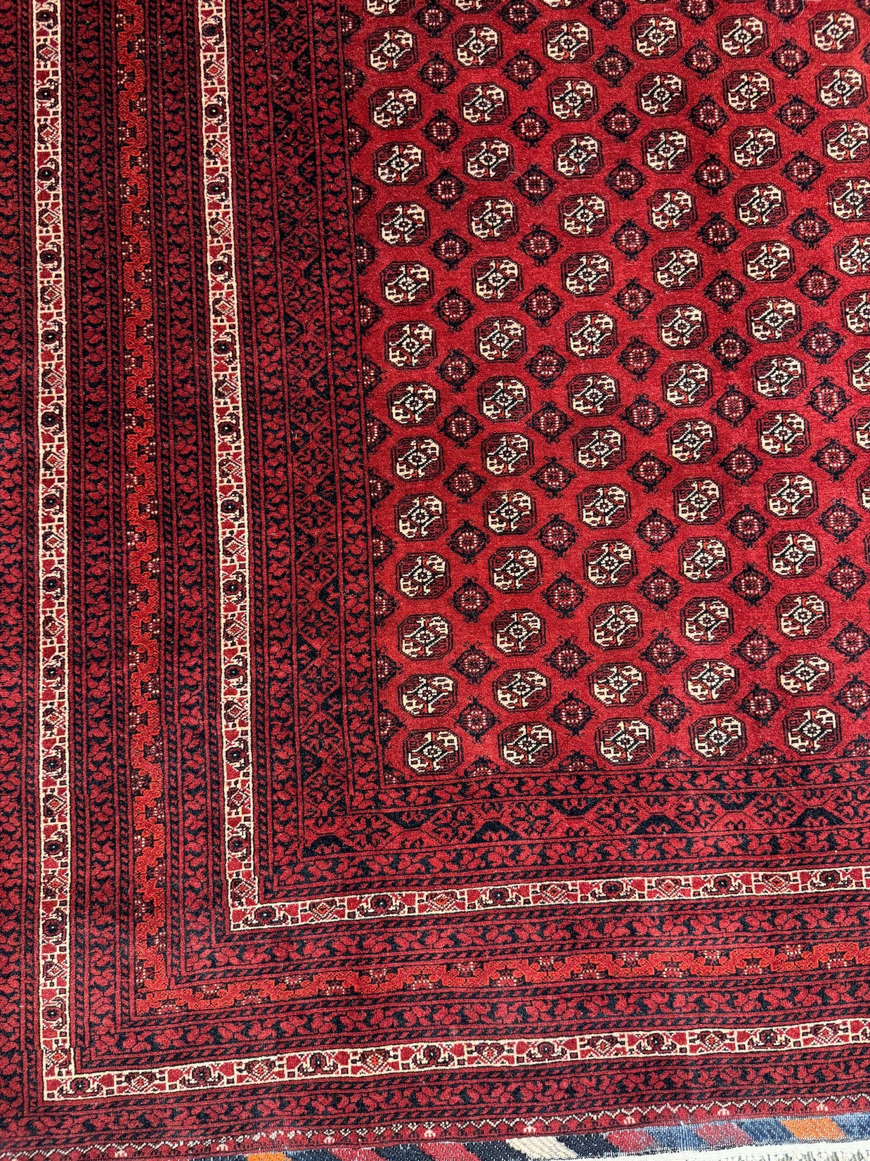 Roshnai Rug - 285 cm x 195 cm