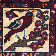 Bakhtiari Rug - 315 cm x 180 cm