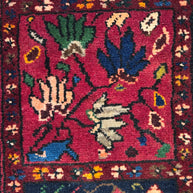Bakhtiari Rug - 315 cm x 180 cm