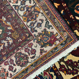 Bakhtiari Rug - 315 cm x 180 cm