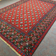 Turkoman Rug - 291 cm x 202 cm
