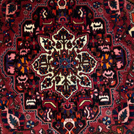 Bakhtiari Rug - 300 cm x 205 cm