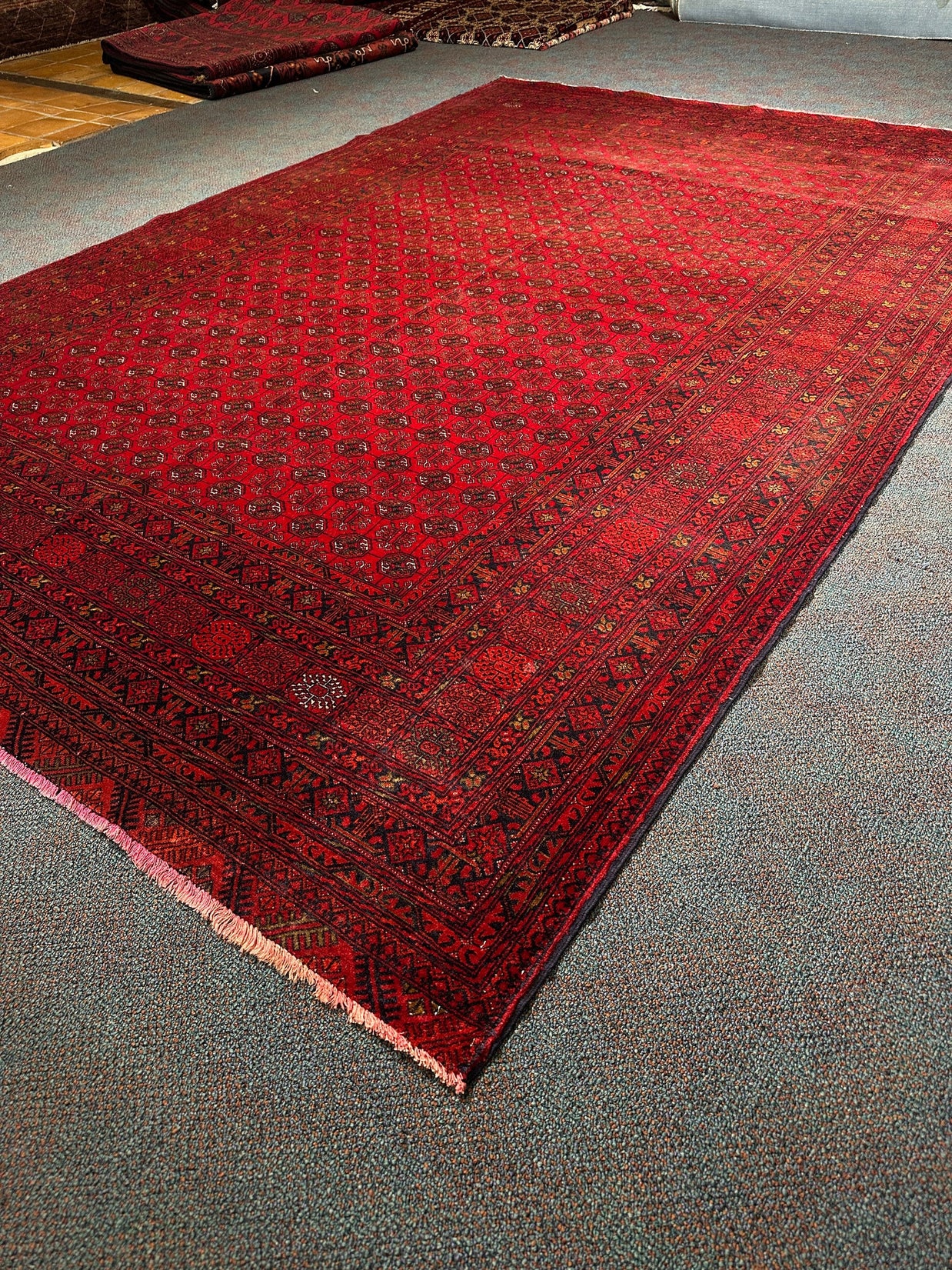 Kunduz Rug - 287 cm x 194 cm