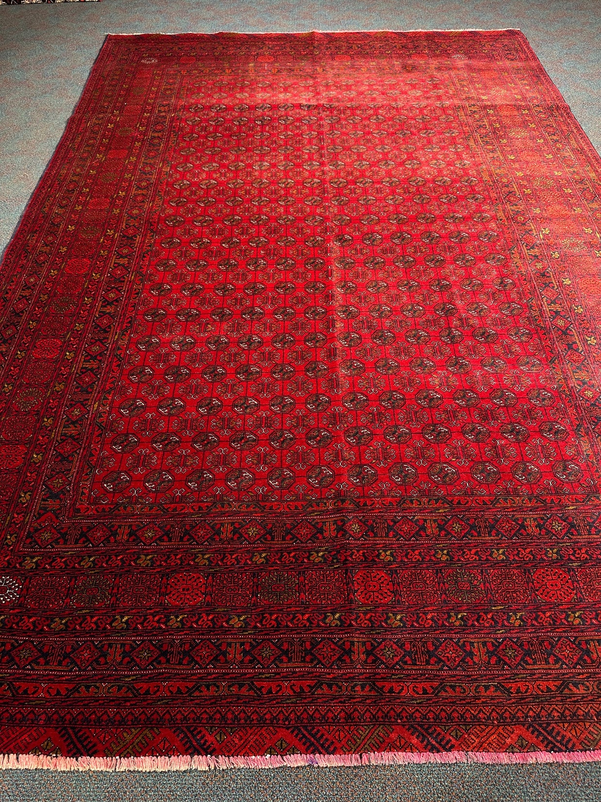 Kunduz Rug - 287 cm x 194 cm