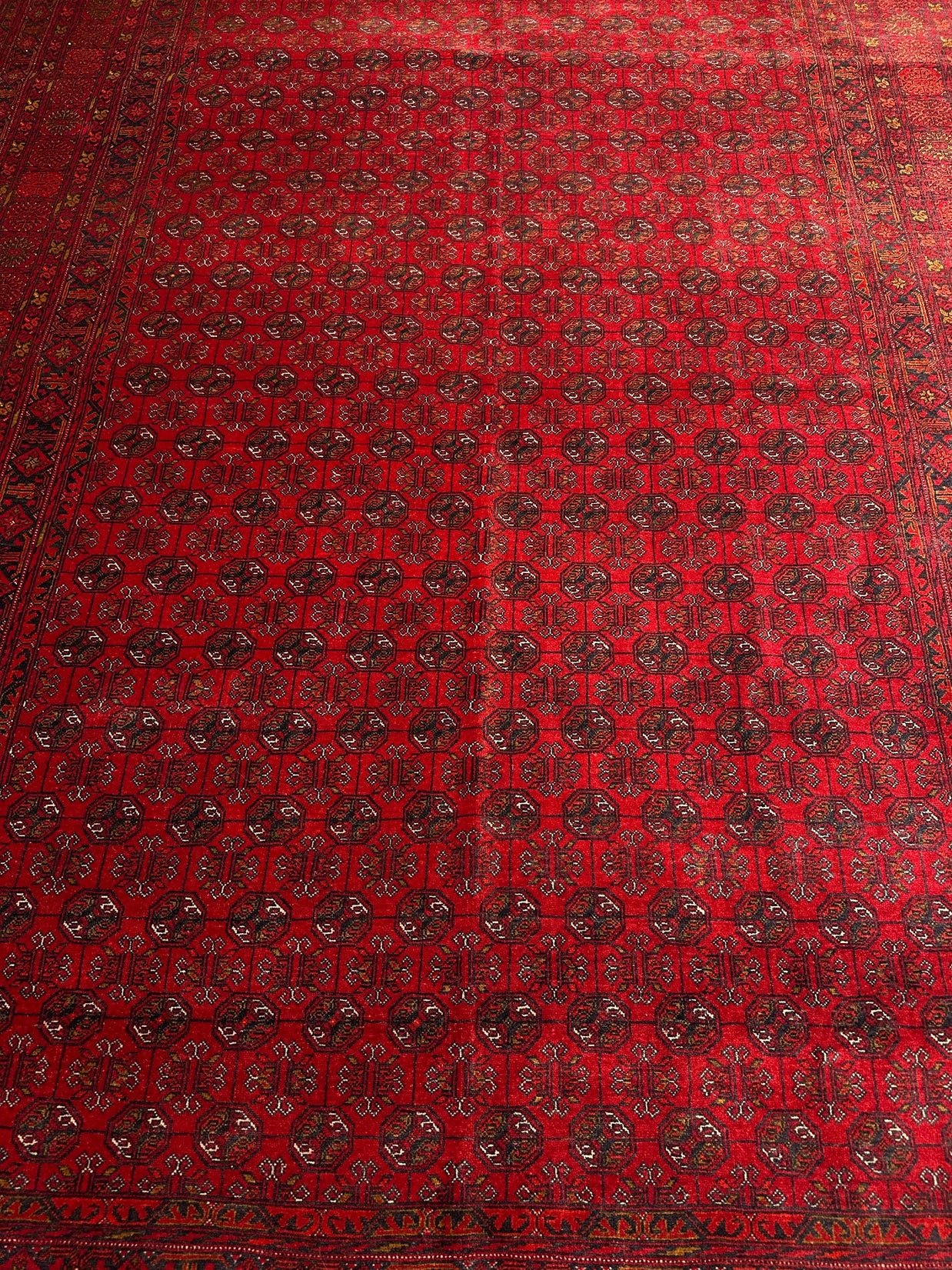 Kunduz Rug - 287 cm x 194 cm