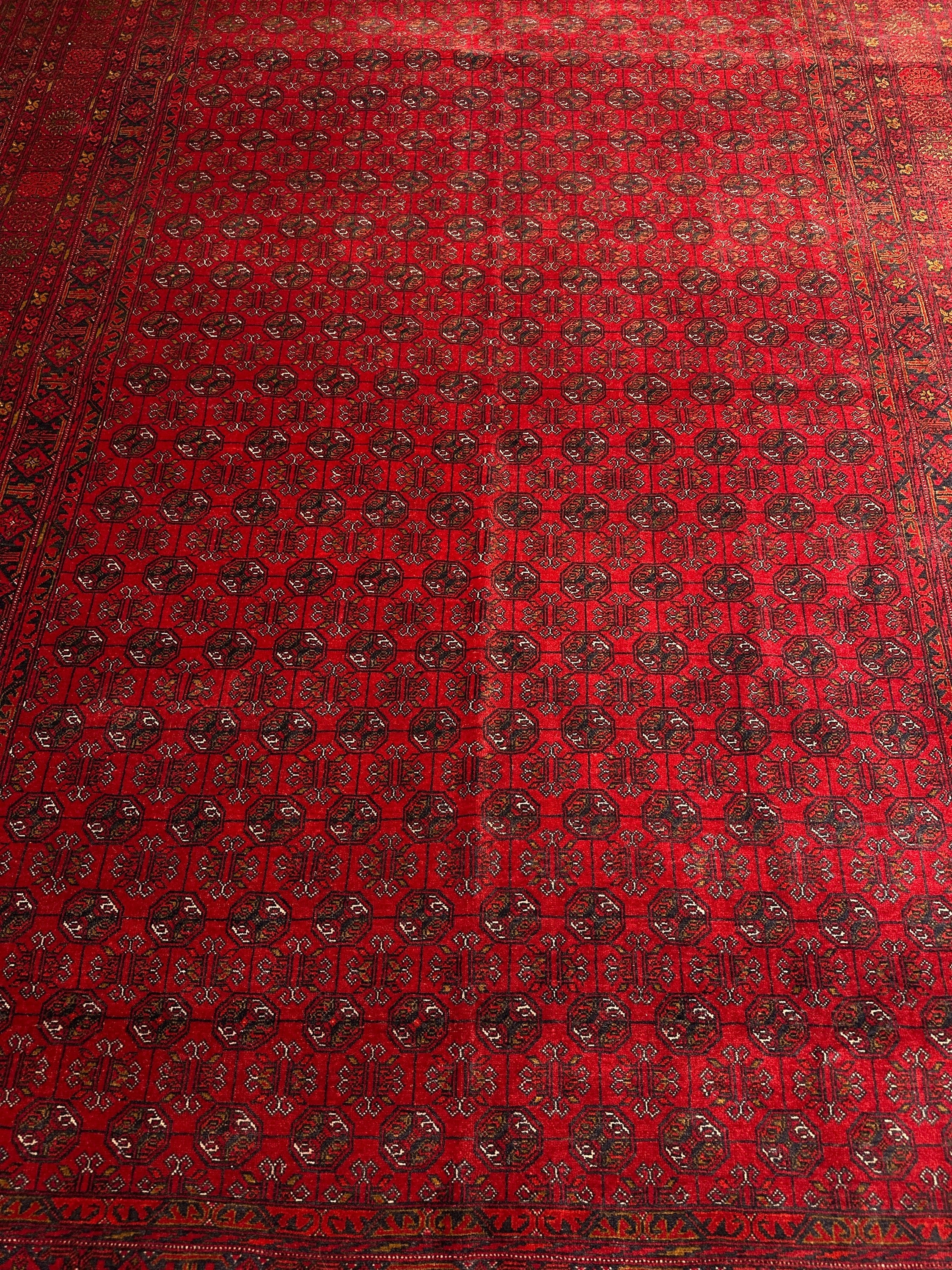 Kunduz Rug - 287 cm x 194 cm