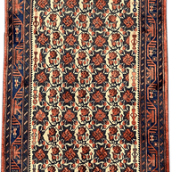 Joshagan Rug - 258 cm x 165 cm