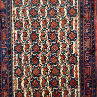 Joshagan Rug - 258 cm x 165 cm