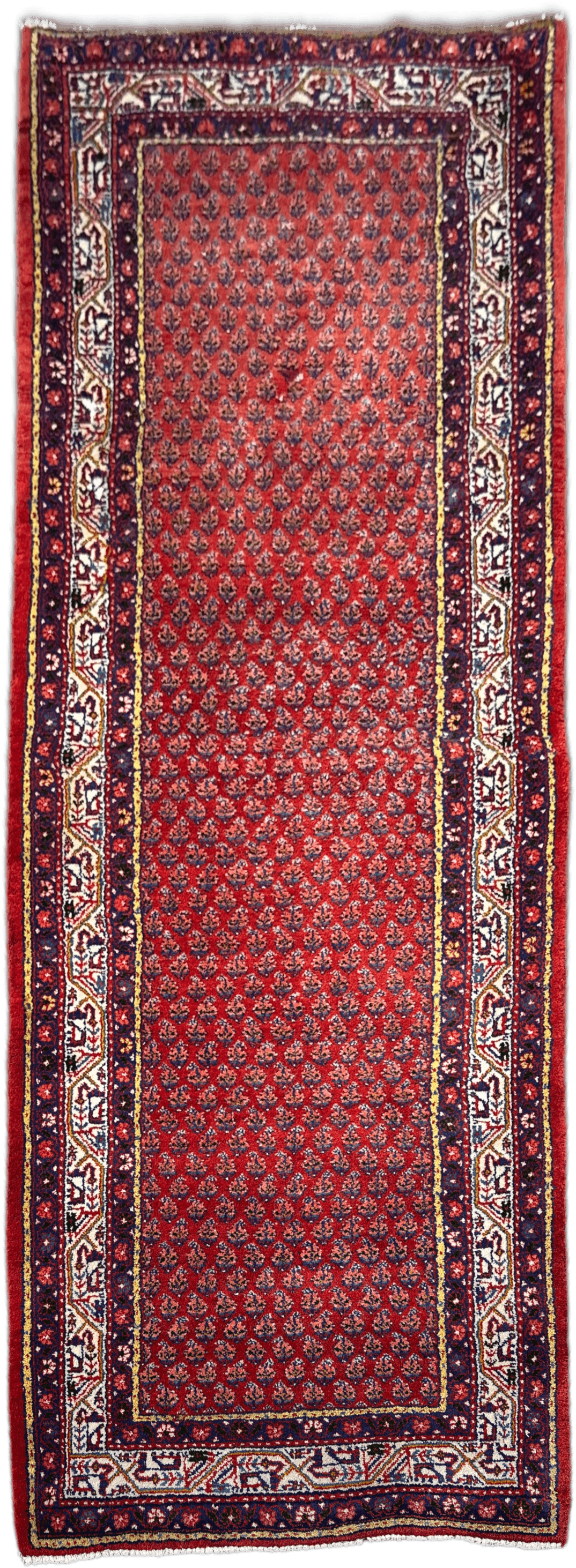 Sarouk Rug - 316 cm x 116 cm