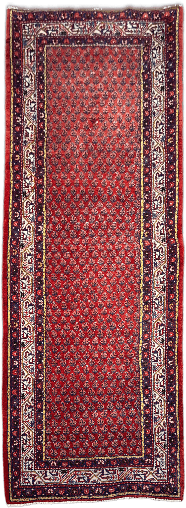 Sarouk Rug - 316 cm x 116 cm