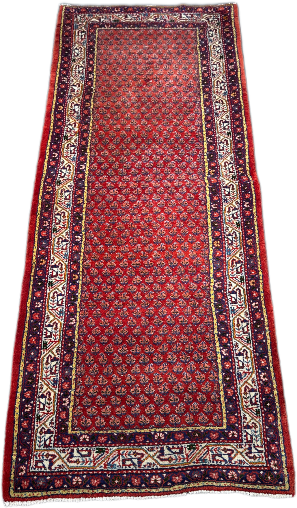 Sarouk Rug - 316 cm x 116 cm