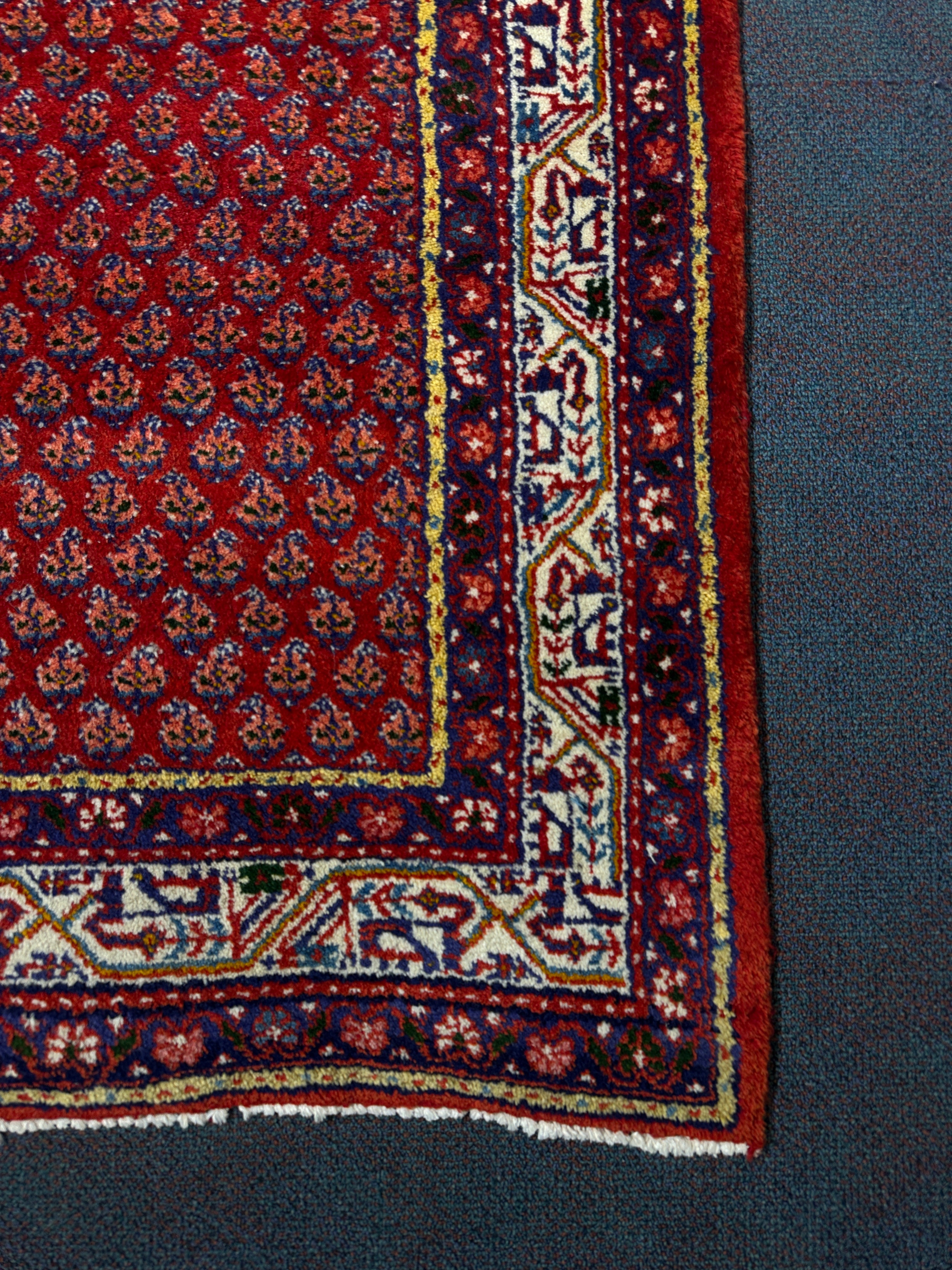 Sarouk Rug - 316 cm x 116 cm
