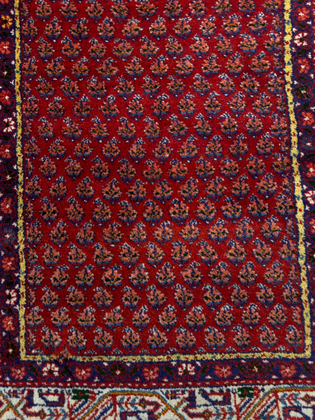 Sarouk Rug - 316 cm x 116 cm