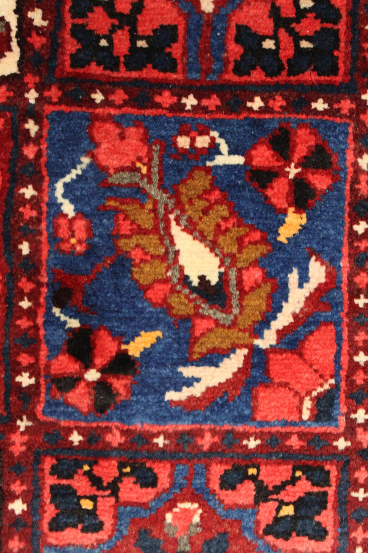 Bakhtiari Rug - 390 cm x 310 cm