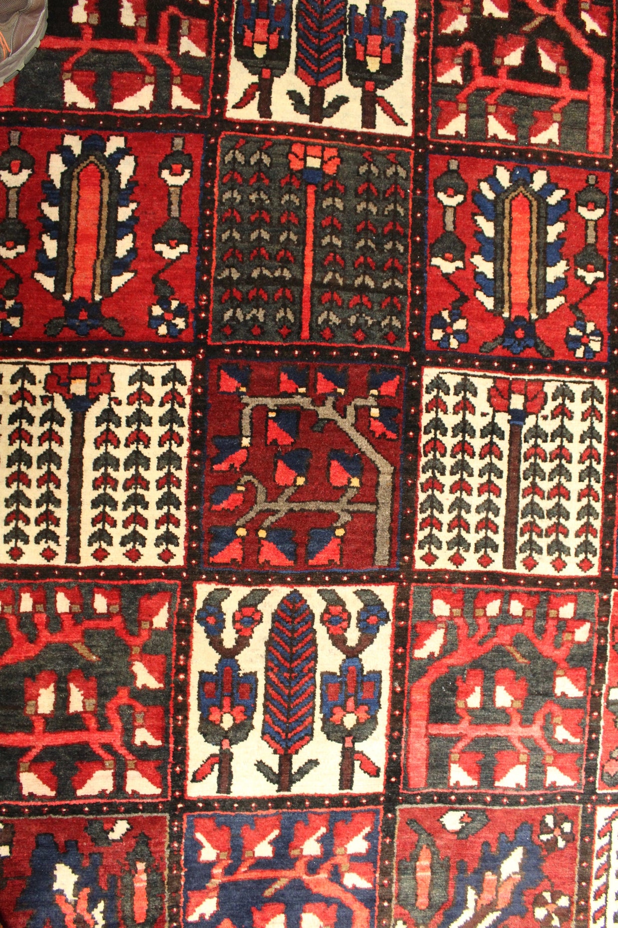 Bakhtiari Rug - 360 cm x 262 cm