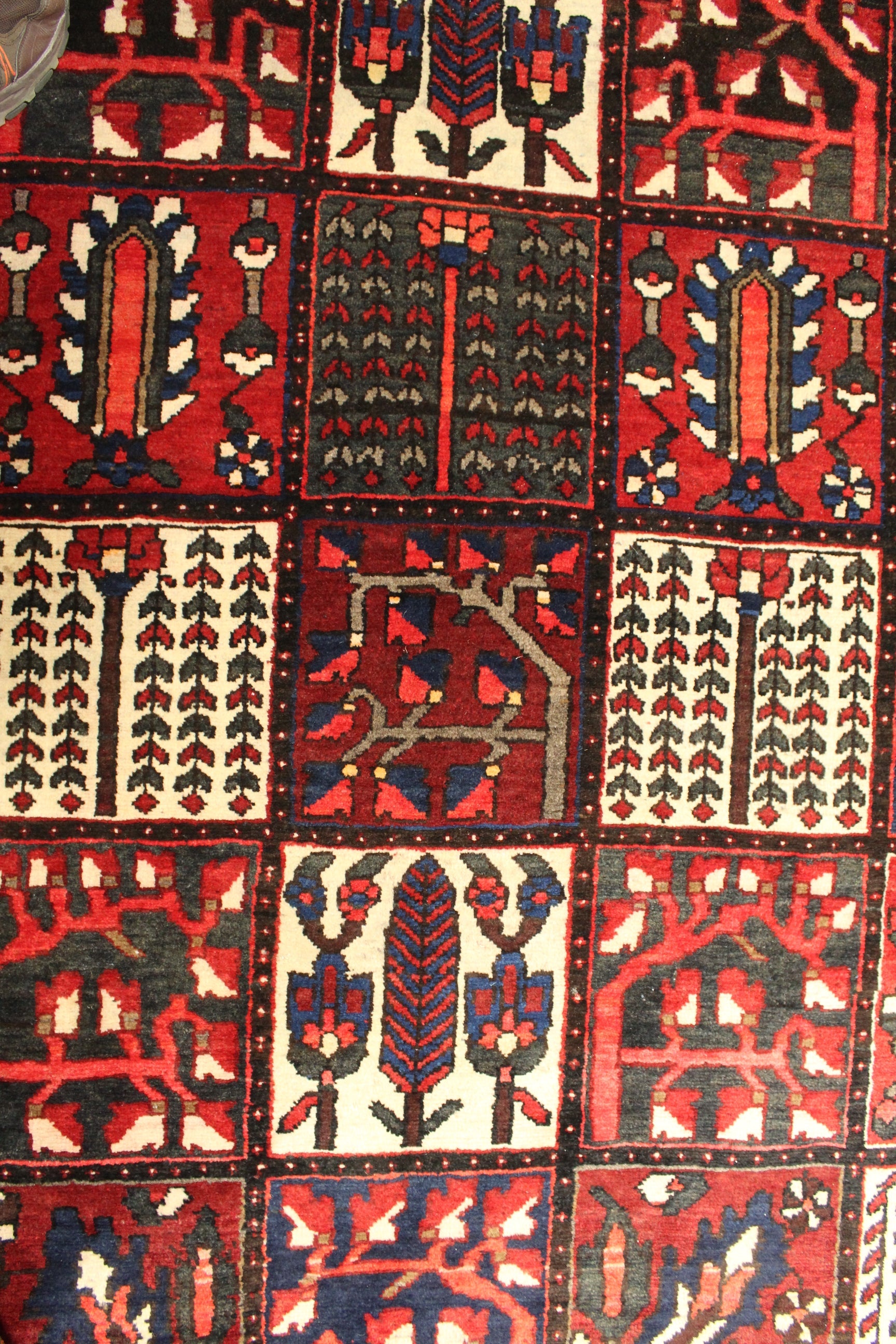 Bakhtiari Rug - 360 cm x 262 cm