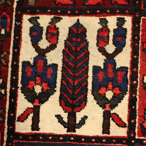 Bakhtiari Rug - 360 cm x 262 cm