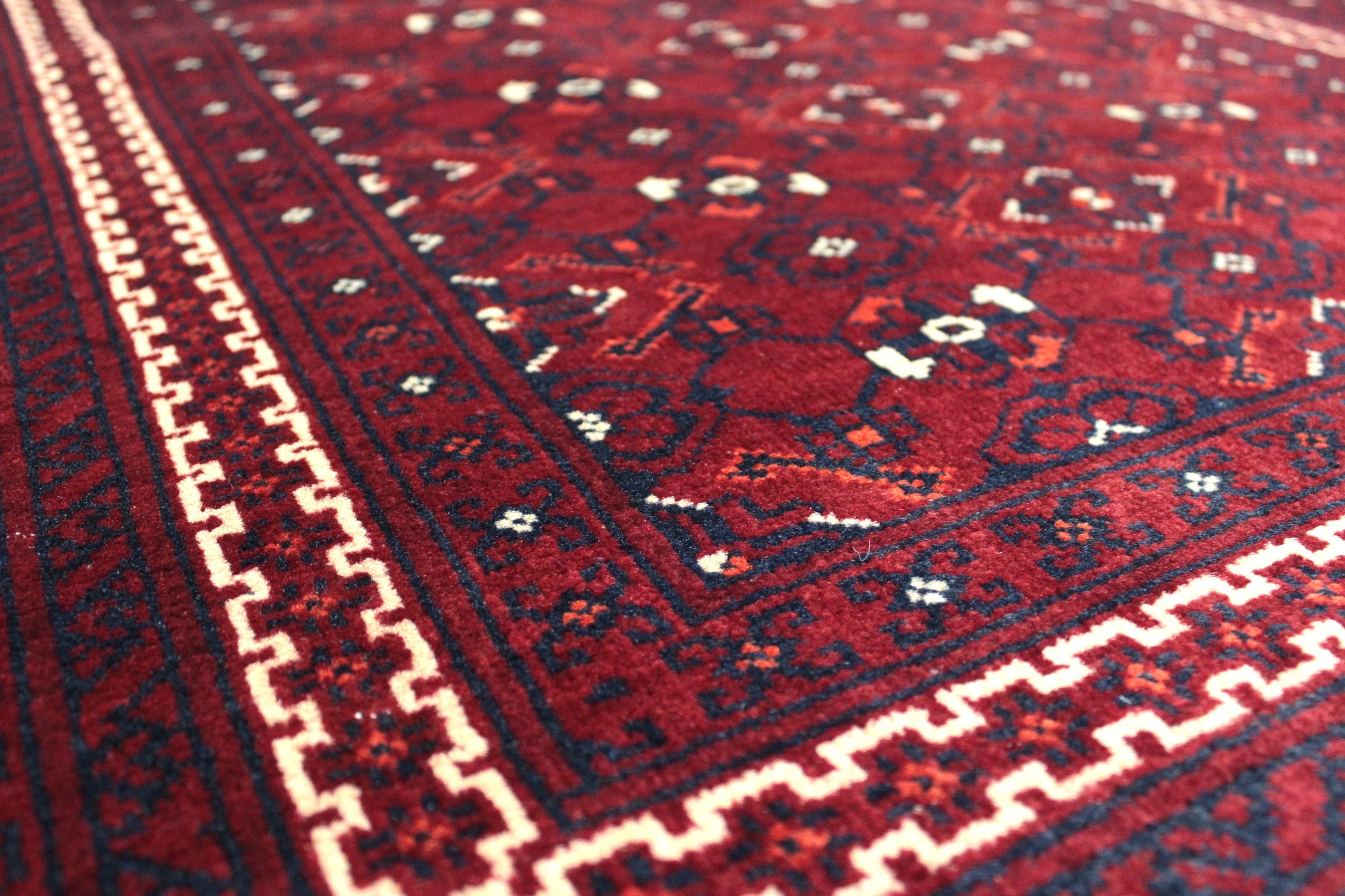 Roshnai Rug  - 286 cm x 88 cm
