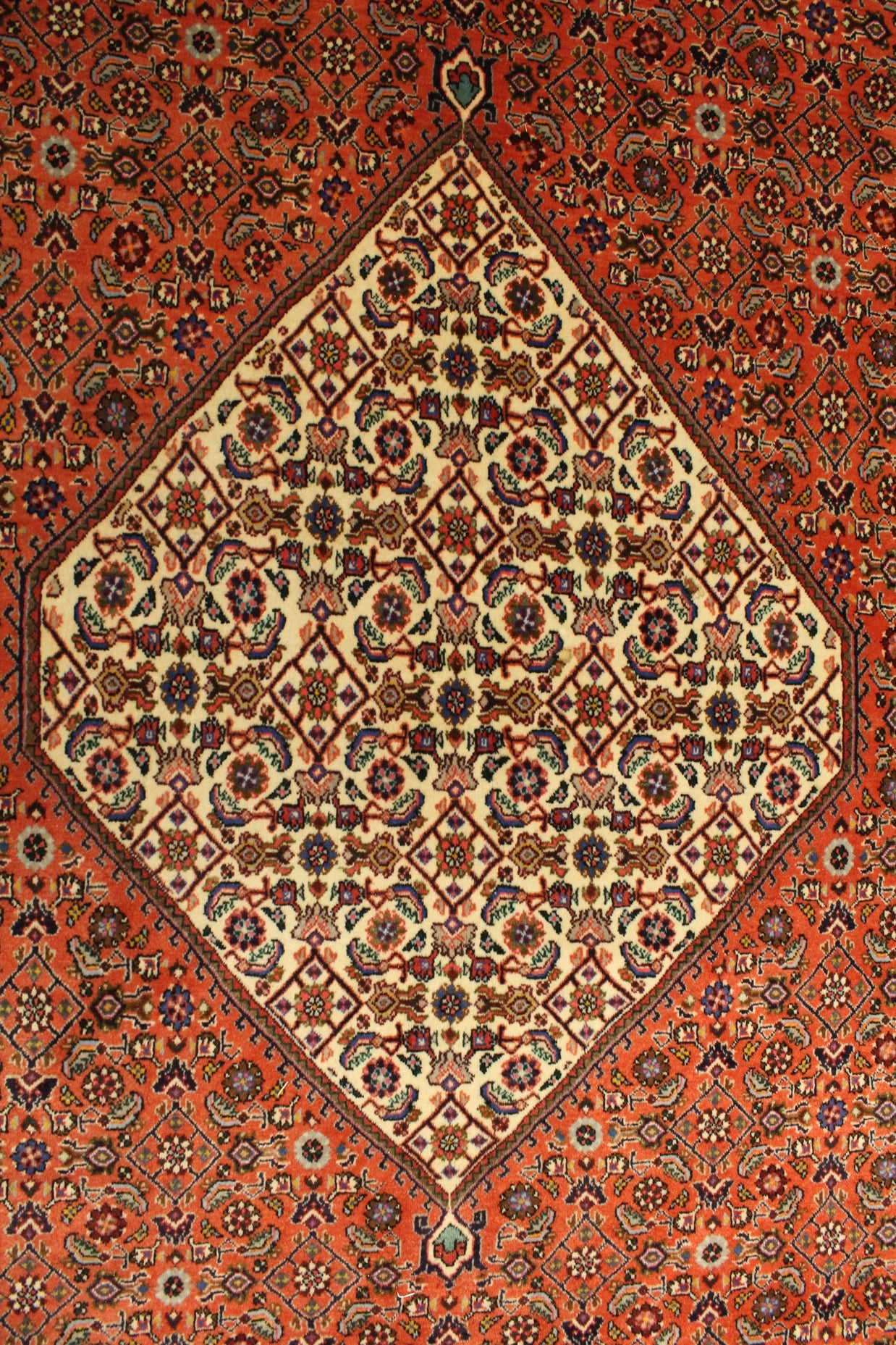 Bidjar Rug - 397 cm x 306 cm