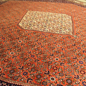 Bidjar Rug - 397 cm x 306 cm