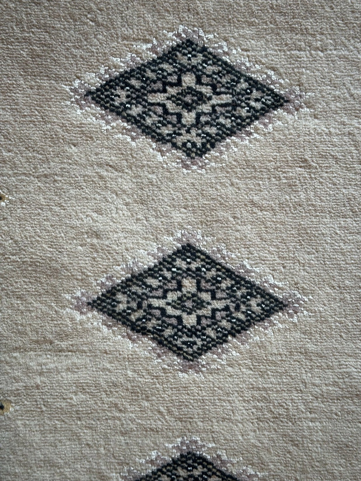 Kishmiri with silk highlights 198x138