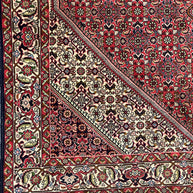 Persian Bidjar Fine knotted Handmade Wool Rug