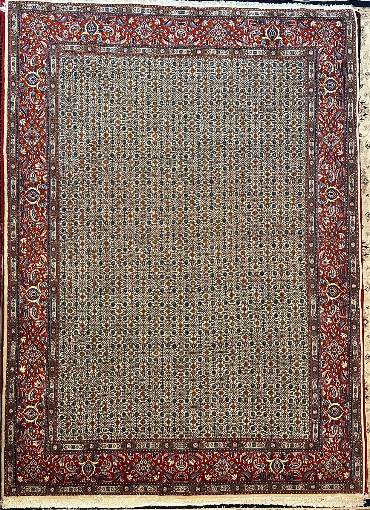 Persian Mud fish design Pure wool pile hand knotted rug from Iran 348cmx250cm