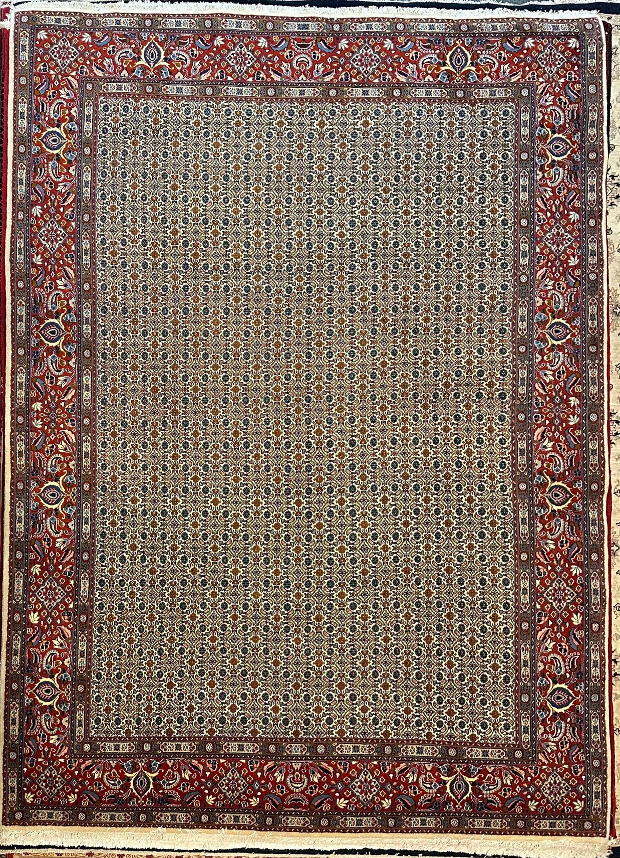 Persian Mud fish design Pure wool pile hand knotted rug from Iran 348cmx250cm